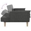 vidaXL 2-Seater Sofa Bed with Two Pillows Dark Grey Fabric