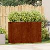 vidaXL Planter Rusty 120x40x80 cm Weathering Steel
