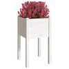 vidaXL Garden Planter White 40x40x70 cm Solid Pinewood