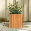 Product Thumbnail Image 3 of 9