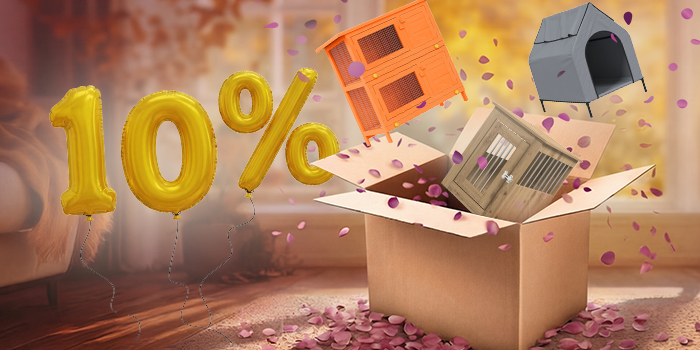 Open box with rabbit hutch, dog house, and pet cage popping out, purple petals scattered around. Yellow balloons show a 10% discount. Click to shop the collection.