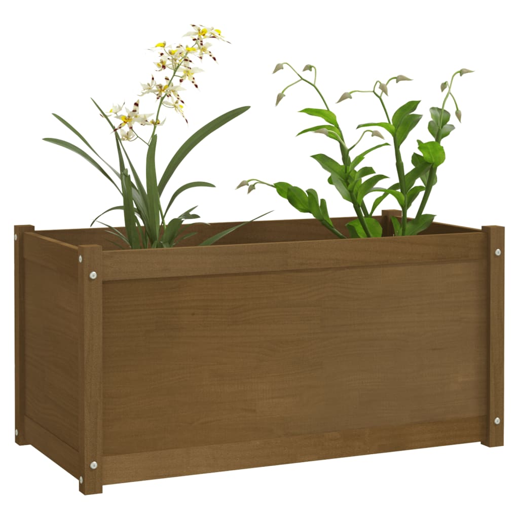 vidaXL Garden Planter Honey Brown 100x50x50 cm Solid Pinewood