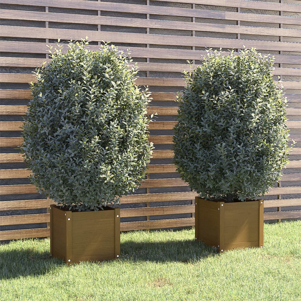 vidaXL Garden Planters 2 pcs Honey Brown 40x40x40 cm Solid Pinewood