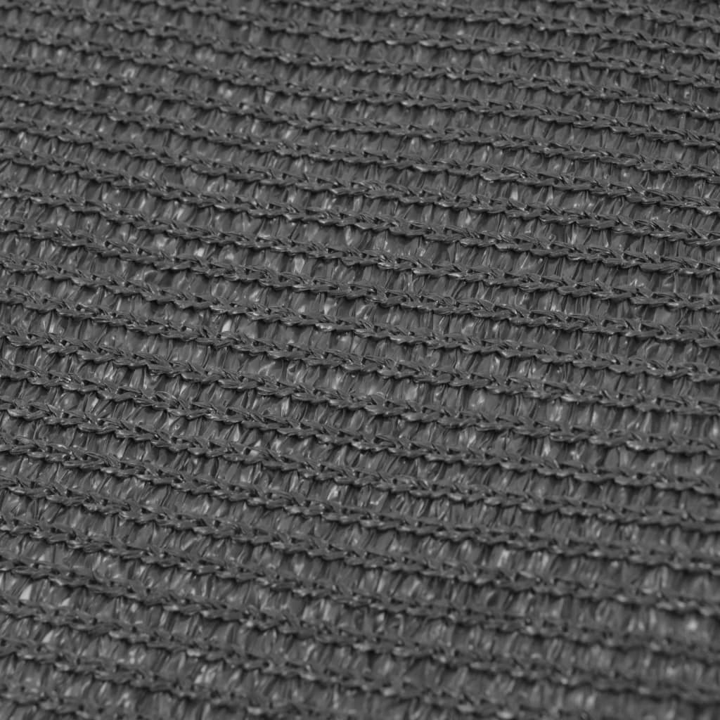 vidaXL Tent Carpet 300x600 cm Anthracite