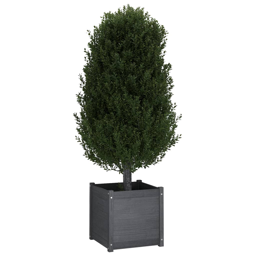 vidaXL Garden Planter Grey 50x50x50 cm Solid Pinewood