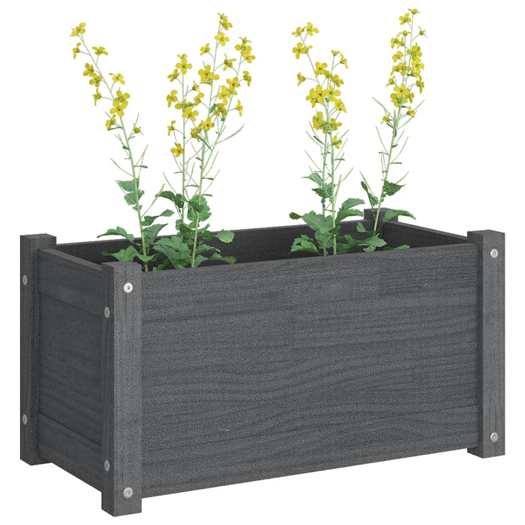 vidaXL Garden Planter Grey 60x31x31 cm Solid Pinewood