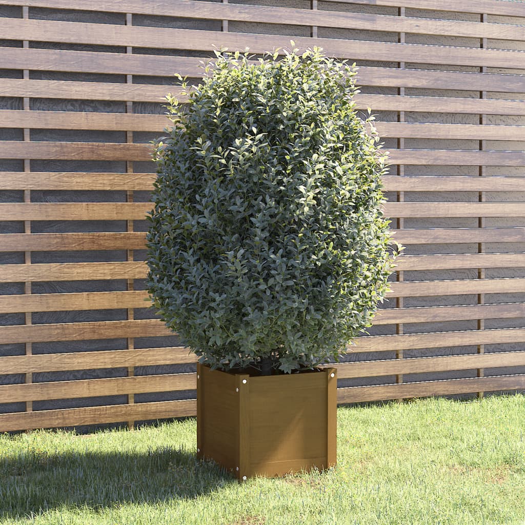 vidaXL Garden Planter Honey Brown 40x40x40 cm Solid Pinewood