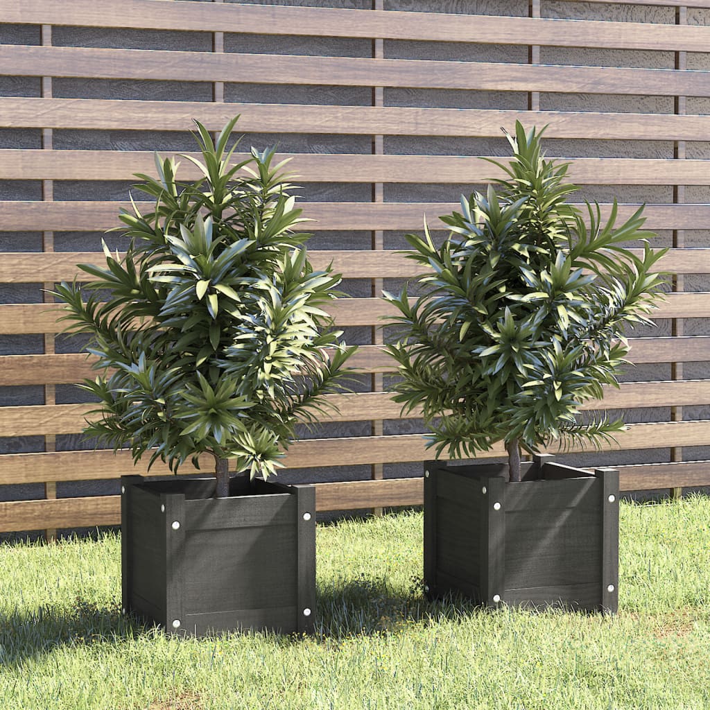 vidaXL Garden Planters 2 pcs Grey 31x31x31 cm Solid Pinewood