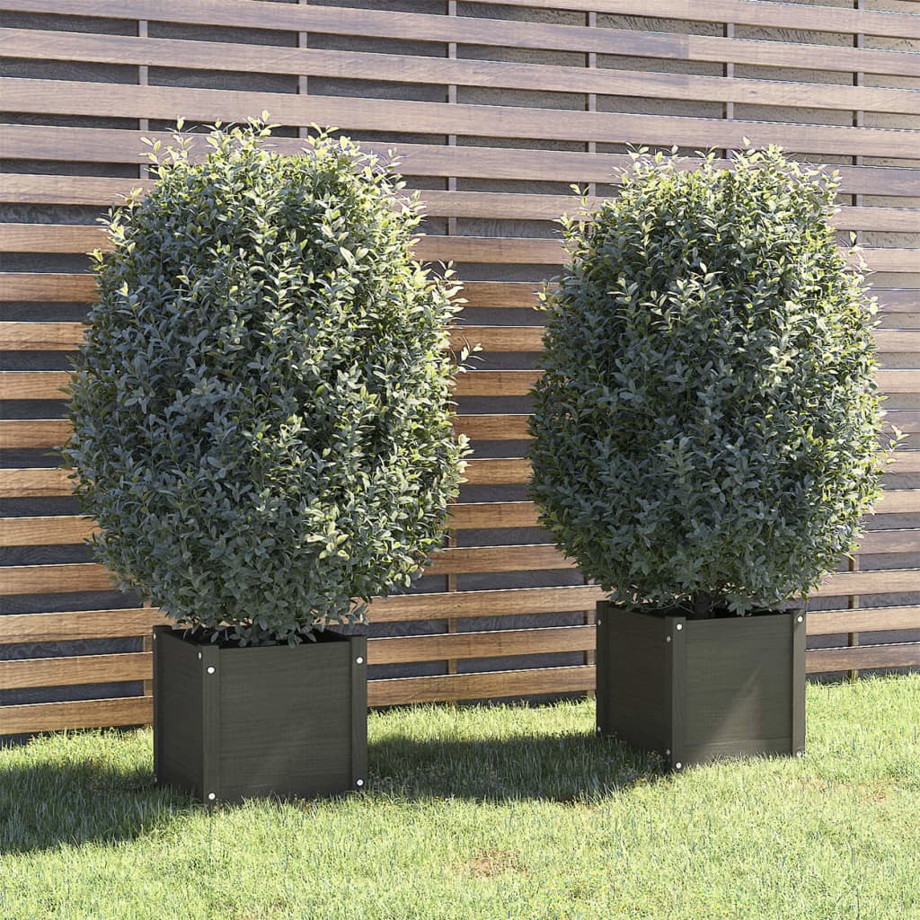 vidaXL Garden Planters 2 pcs Grey 40x40x40 cm Solid Pinewood