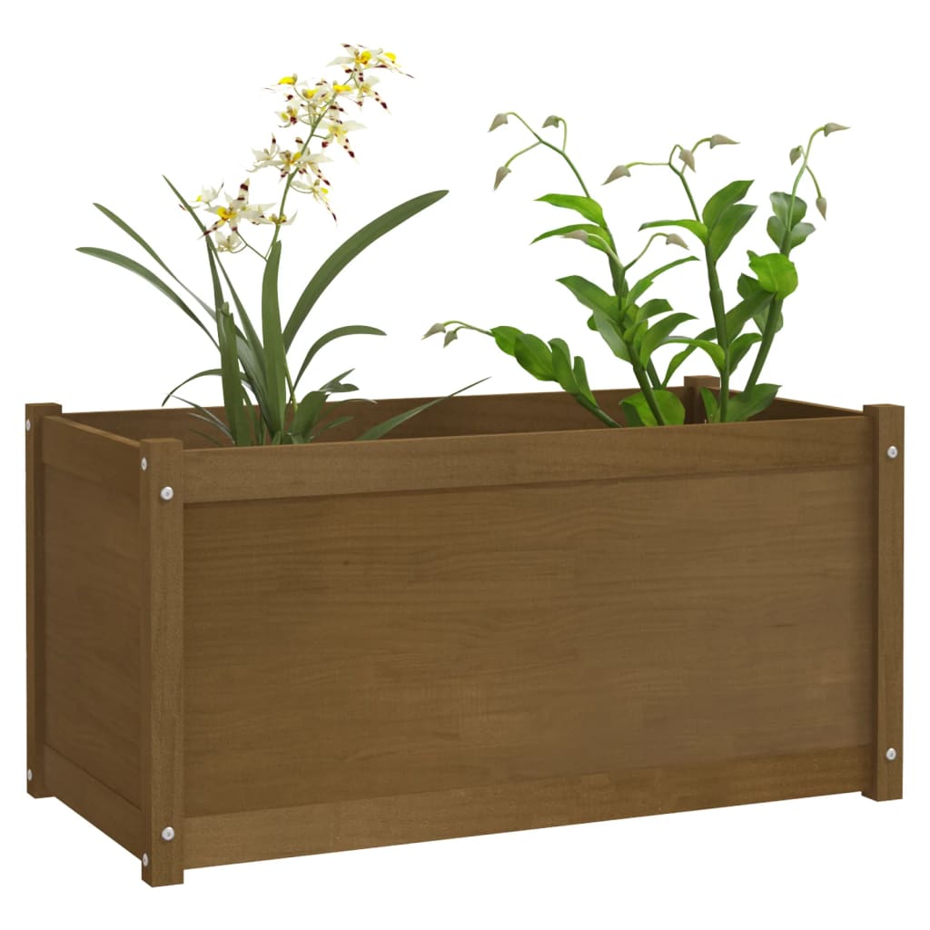 vidaXL Garden Planters 2 pcs Honey Brown 100x50x50cm Solid Pinewood