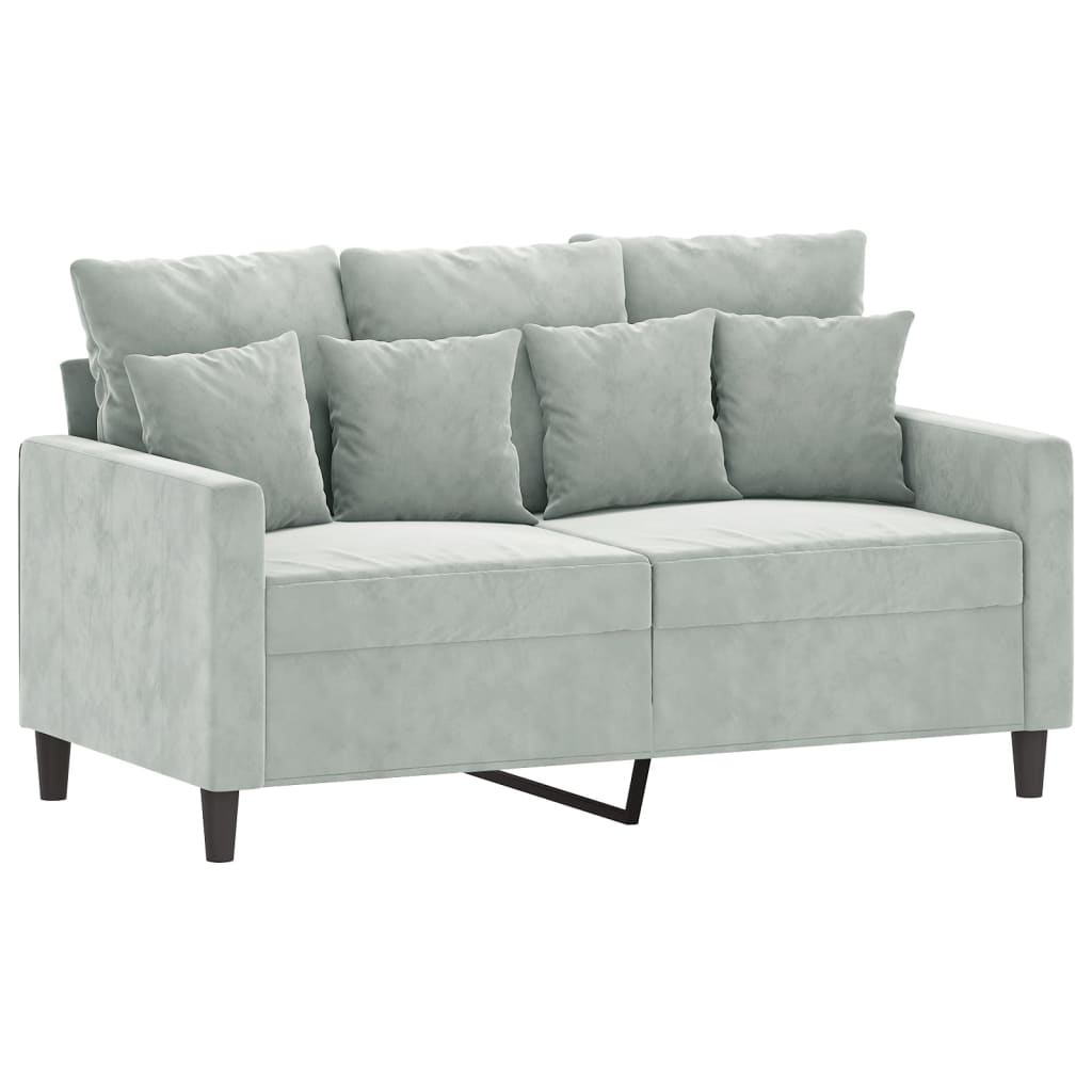 vidaXL 2 Piece Sofa Set with Cushions Light Grey Velvet